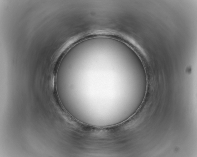 X0000091861221200709050950