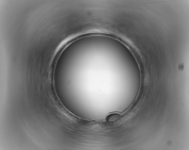 X0000091861222200709050950