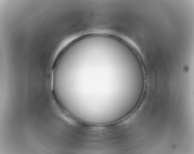 X0000091861223200709050950