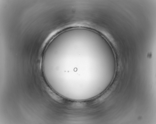 X0000091861224200709050950