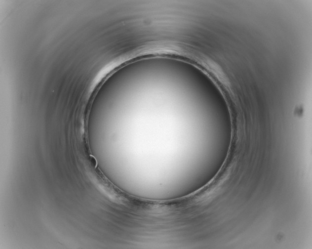 X0000091861226200709050950
