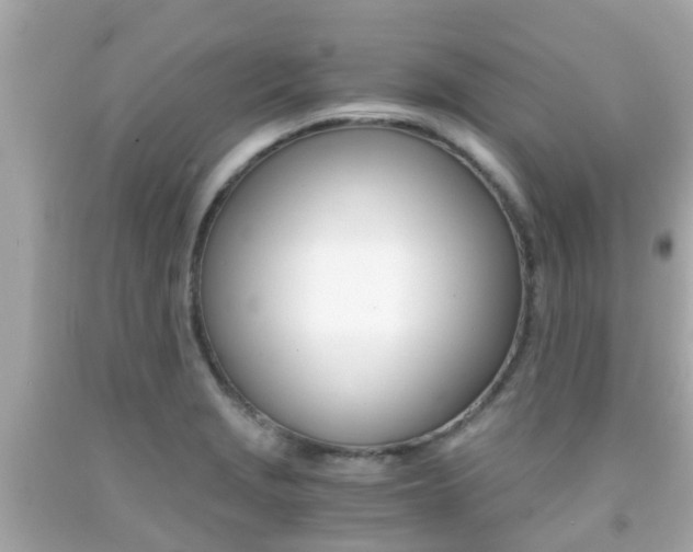 X0000091861229200709050950