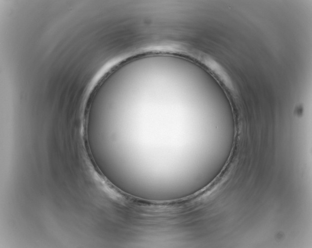 X0000091861232200709050950