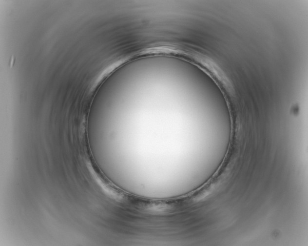 X0000091861233200709050950