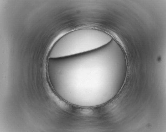 X0000091861235200709050950