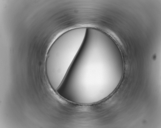 X0000091861236200709050950