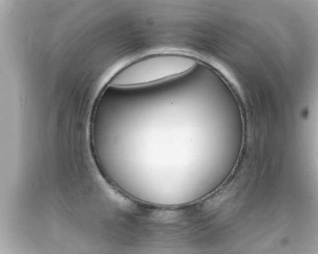 X0000091861237200709050950