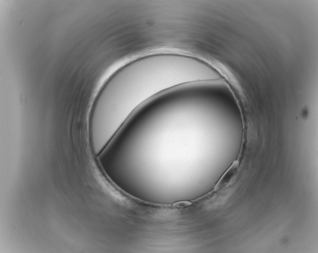 X0000091861238200709050950