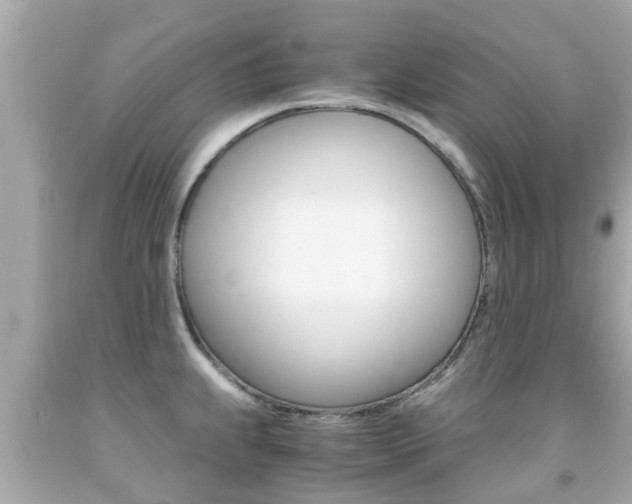 X0000091861239200709050950