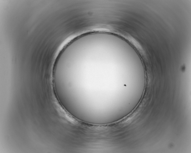 X0000091861240200709050950