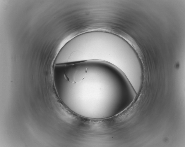 X0000091861242200709050950
