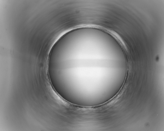 X0000091861244200709050950