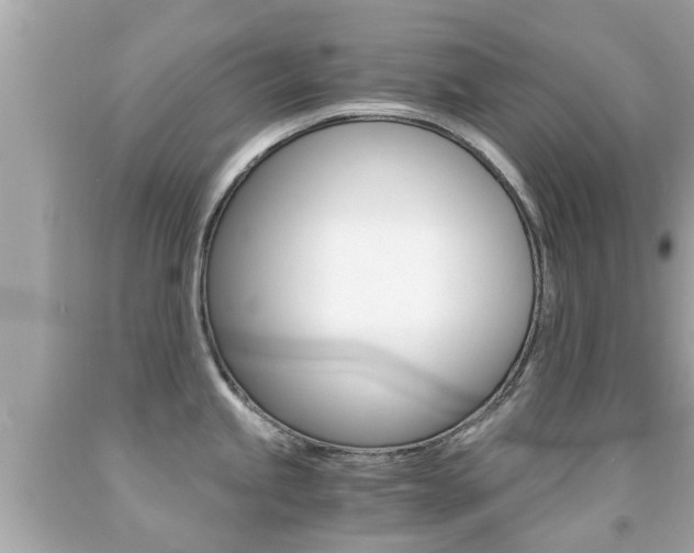 X0000091861245200709050950