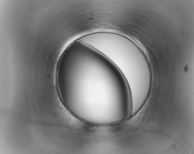 X0000091861246200709050950