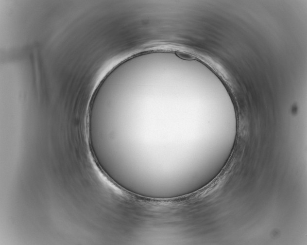 X0000091861247200709050950