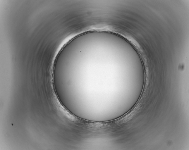 X0000091861248200709050950