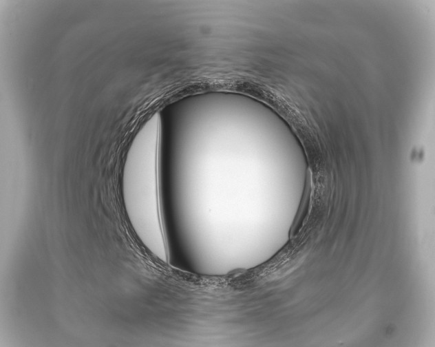 X0000091861249200709050949