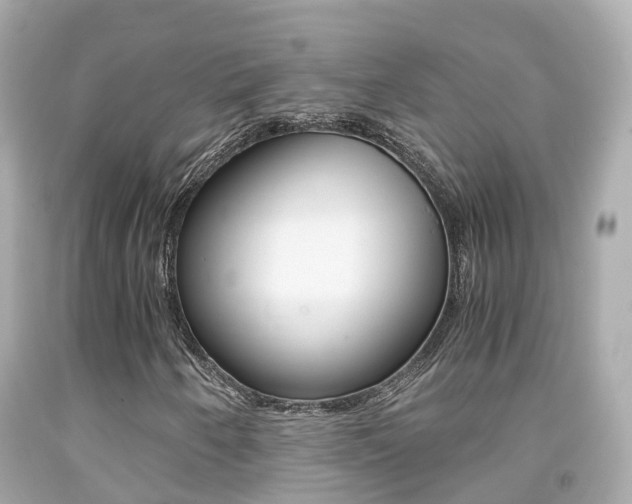 X0000091861250200709050949