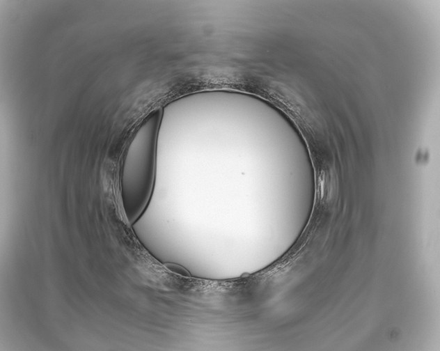 X0000091861251200709050949