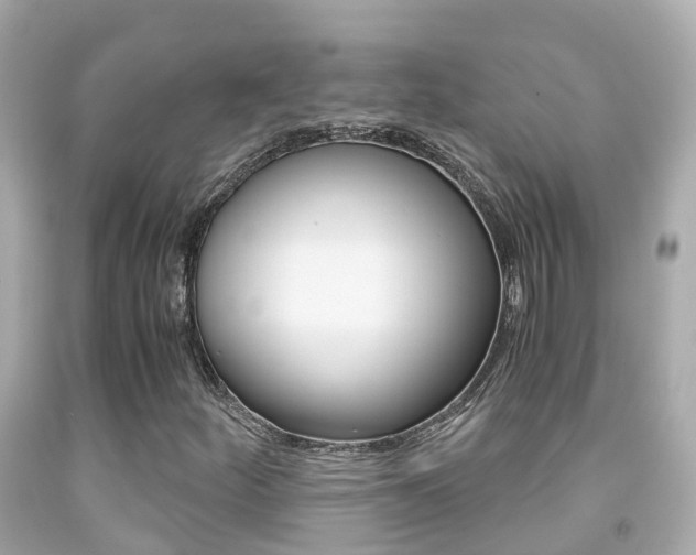 X0000091861252200709050949
