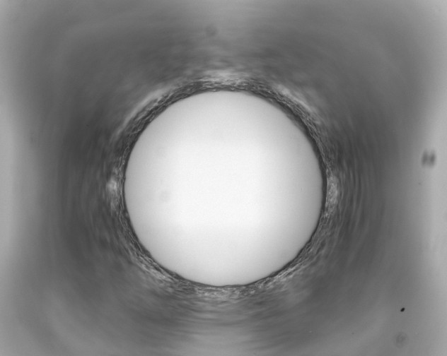 X0000091861254200709050949