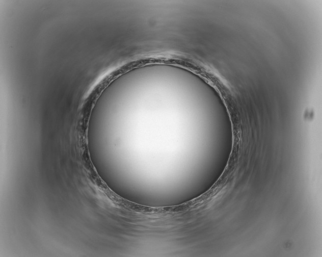 X0000091861256200709050949