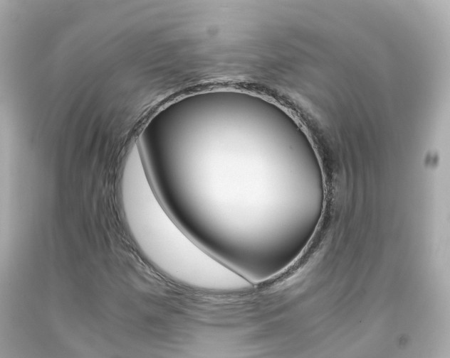 X0000091861257200709050949