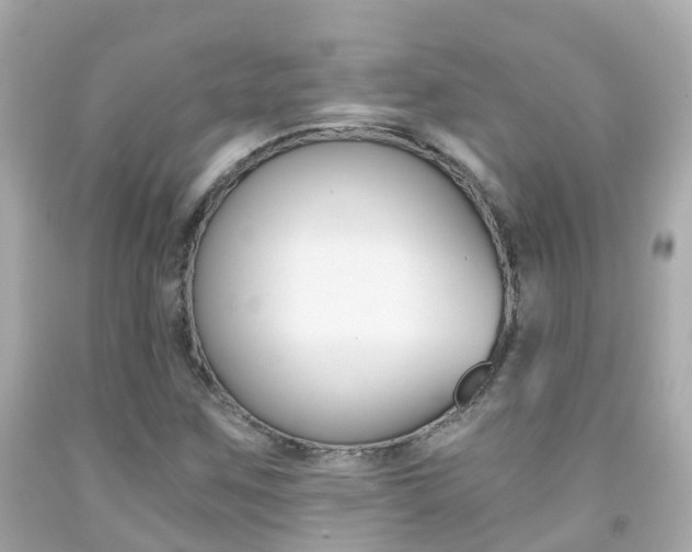 X0000091861259200709050949