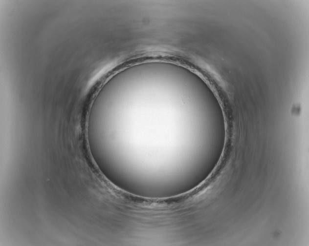 X0000091861261200709050949