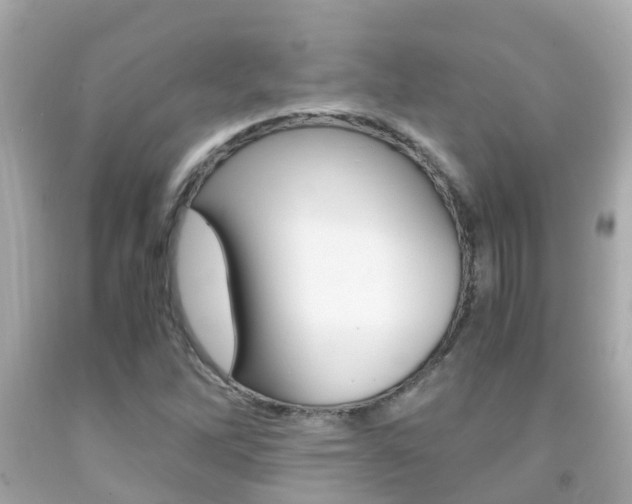 X0000091861262200709050949