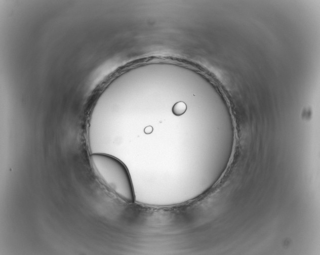 X0000091861263200709050949