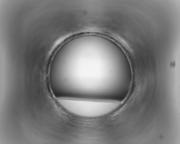 X0000091861264200709050949