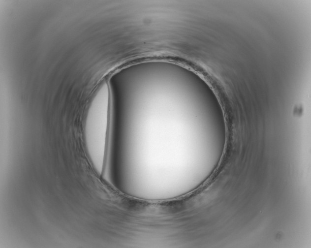 X0000091861265200709050949