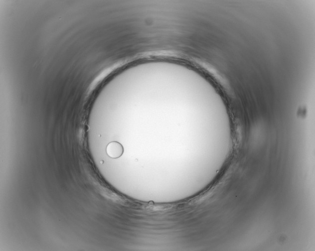 X0000091861266200709050949