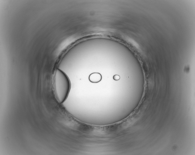 X0000091861267200709050949
