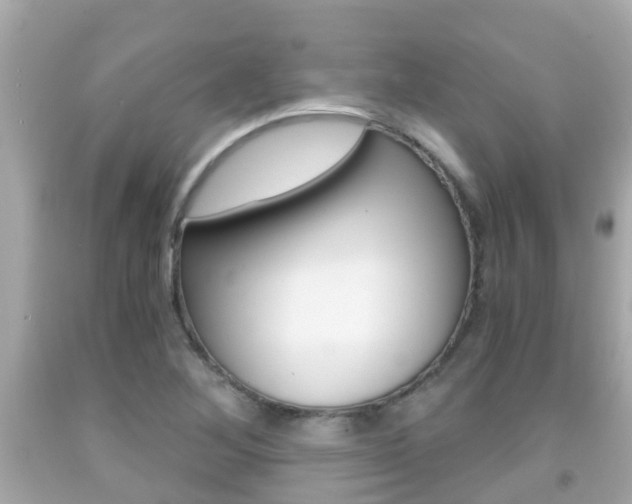 X0000091861268200709050949