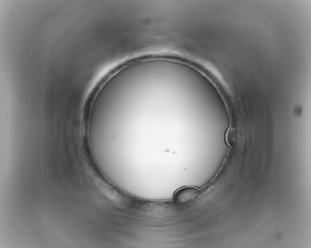 X0000091861270200709050949
