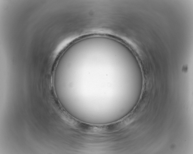 X0000091861271200709050949