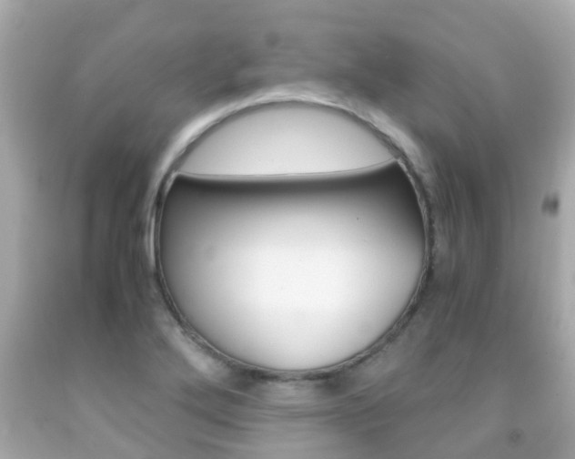 X0000091861272200709050949
