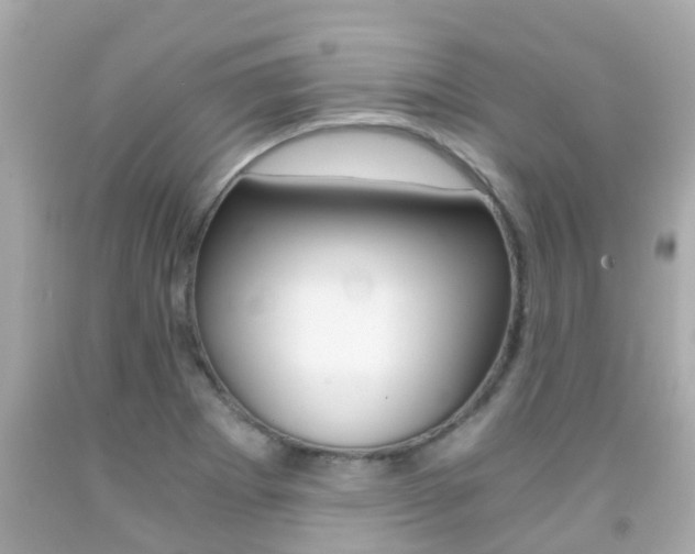X0000091861273200709050949