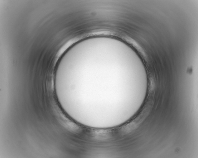 X0000091861274200709050949