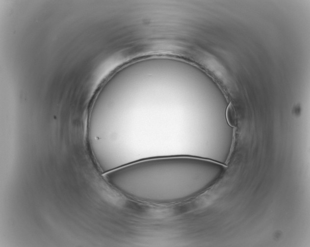 X0000091861275200709050949