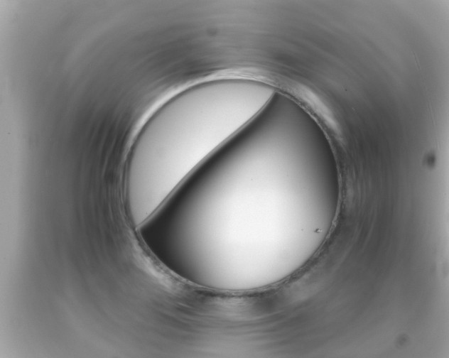 X0000091861276200709050949