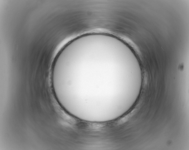 X0000091861278200709050949