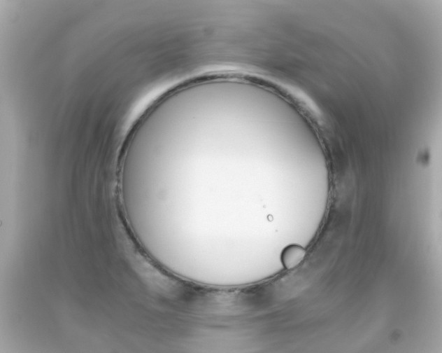 X0000091861279200709050949