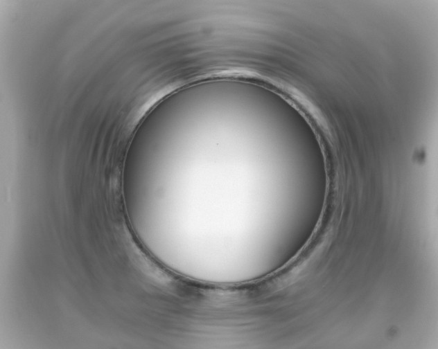 X0000091861281200709050949