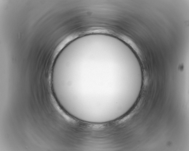 X0000091861282200709050949