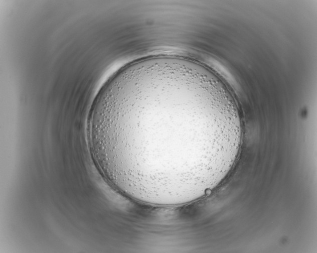 X0000091861283200709050949