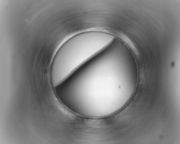 X0000091861284200709050949