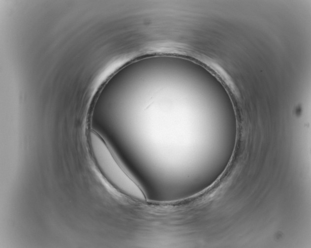 X0000091861285200709050949